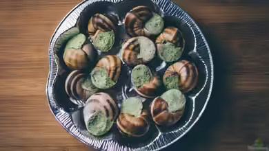 Weinbergschnecken: Delikatesse mit Ekelfaktor