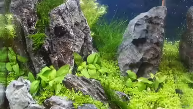 Wie ein sonniger Tag von Marcel Reiter