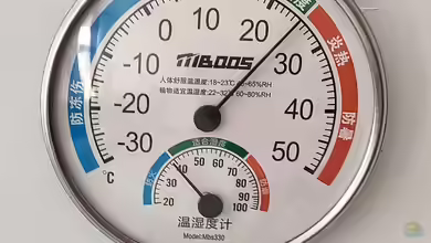 Wie funktioniert ein Hygrometer? Ein umfassender Leitfaden für Terrarium-Fans