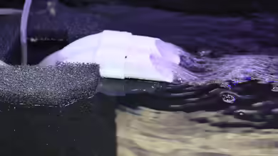 Wie ist ein Aquariumfilter aufgebaut?