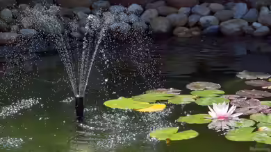 Wie kann man einen Springbrunnen im Garten oder Teich installieren?