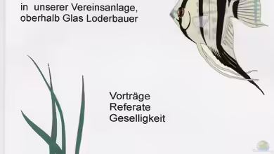 Wie machen es Aquarienvereine ?