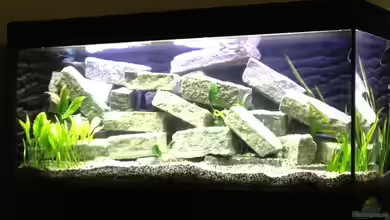 Wiedereinstieg (begleiteter Beckenaufbau) von Ralf Schmitz