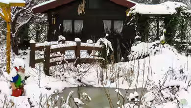 Wintereinbruch - Was passiert im Gartenteich?