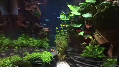 Wohnraum von Andreas Glingener