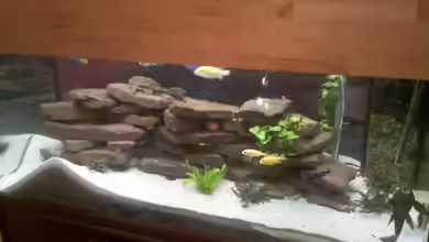 Wohnzimmer von Tobias Seidel