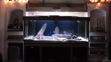 Wohnzimmer von AquaMalawi