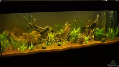 Wohnzimmer1 von Sven Schneider