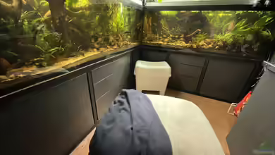 Wohnzimmeraquarium im Keller von cws