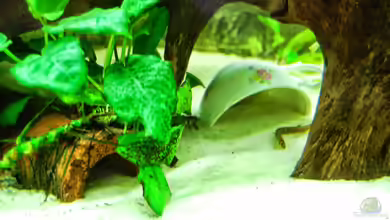 Wohnzimmerfussboden von derFalk