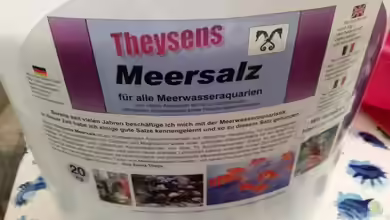 Zierfischkrankheiten mit Salzbädern behandeln