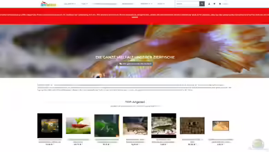 zierfischtreff.de - Onlineshop für Zierfische