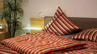 Zimmerpflanzen im Schlafzimmer: Vorteile, Nachteile und geeignete Pflanzen