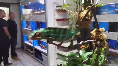 Zu Besuch beim Aqua-Treff in Meerbusch