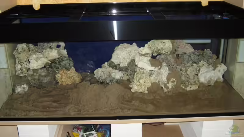 ..... Steine und Sand werden eingebracht! von Thorsten Witting (5)