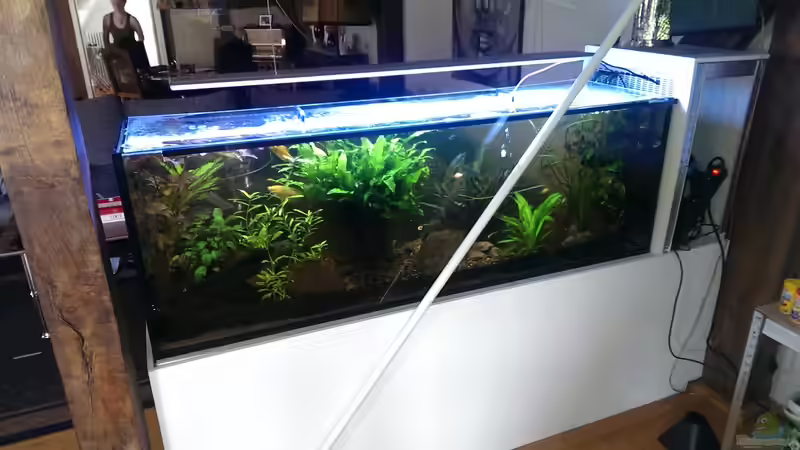 .... blöde weiße Stange ;) von RenSa (10)