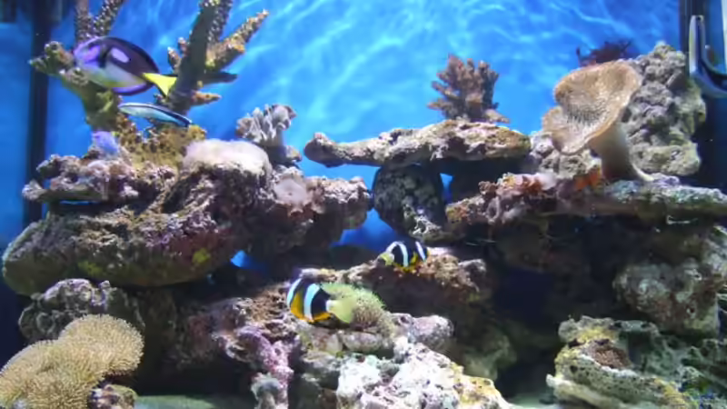 .....DER ANFANG von lex2lex (2)