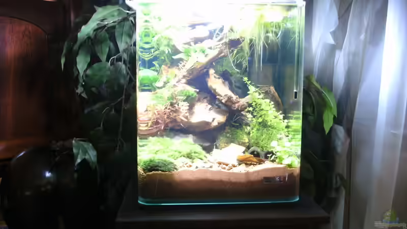      off Limits von Sailfish (2)