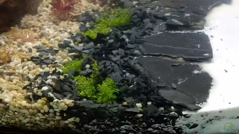 .... und der Boden :) von Sanyarhu (10)