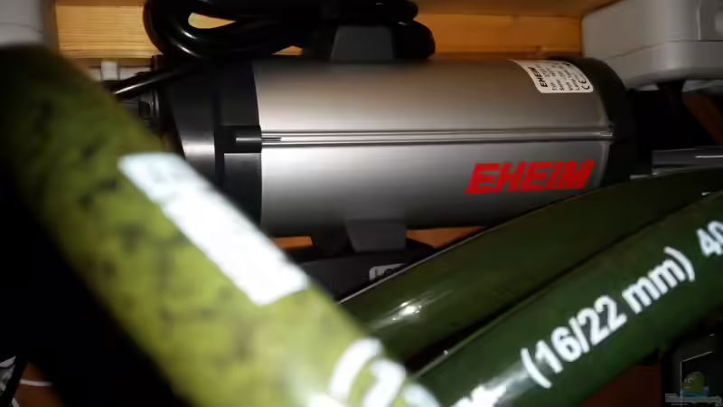  ... und die Leber ... UV - Klärer von Betta Chris (117)