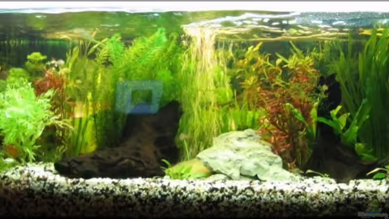 .... von Dennis Blümlein (1)