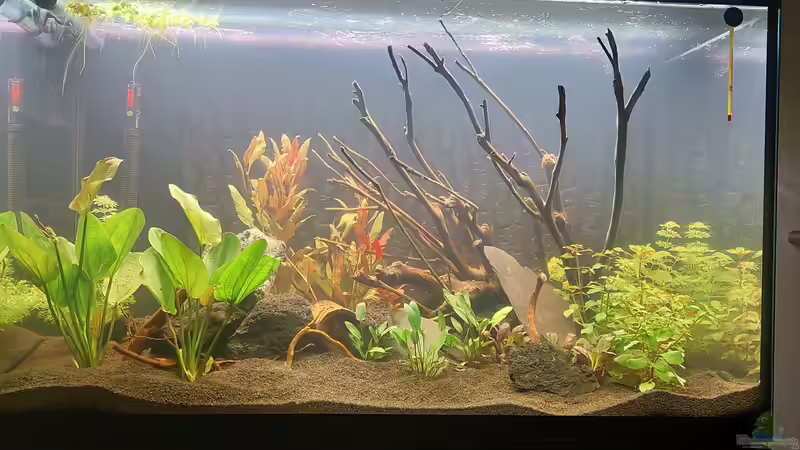 .... von Südamerikafan (21)