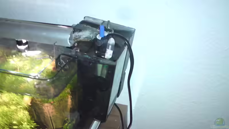 ... 1x3,5W Neutralweiß LED... von Aquamaster (11)