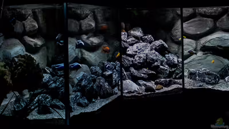 ... Becken nach Austausch Bodengrund und Umgestaltung der Steine.... von AjakAndi (13)