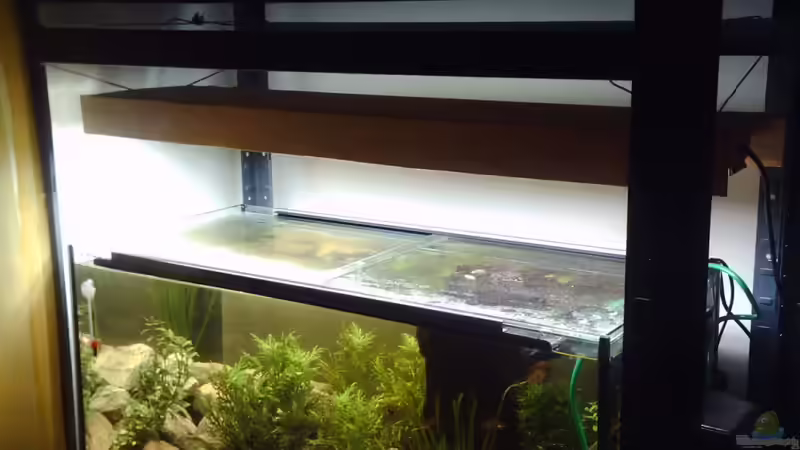 .:] Der selbstgebaute Lampenschirm [:. von El Grande (11)