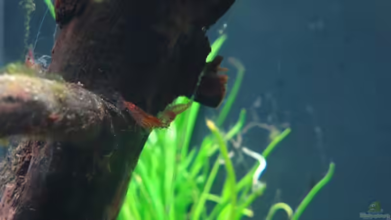 ....ein kleiner smalltalk? von Rene N. (6)