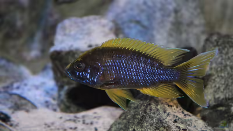 ... eines habe ich noch. von Marco O. (79)