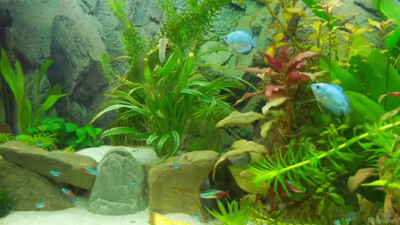 ... in der Anfangsphase von Thomas Huber (4)