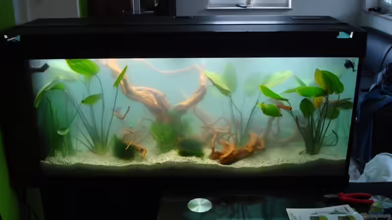 ... nach der Ersteinrichtung von erma (6)