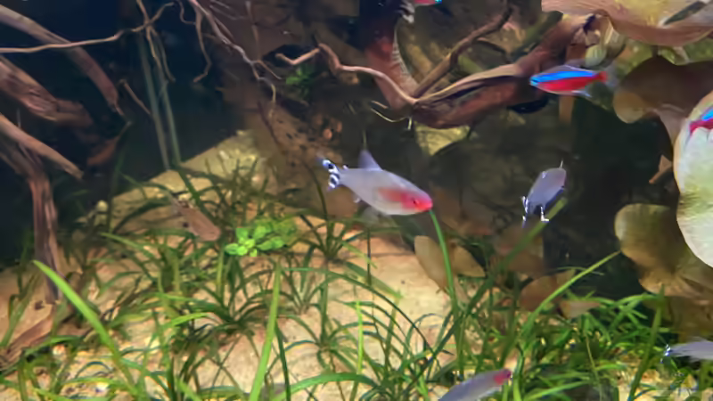 ... sie halten einfach nicht still!  von Gregorsimsel (23)