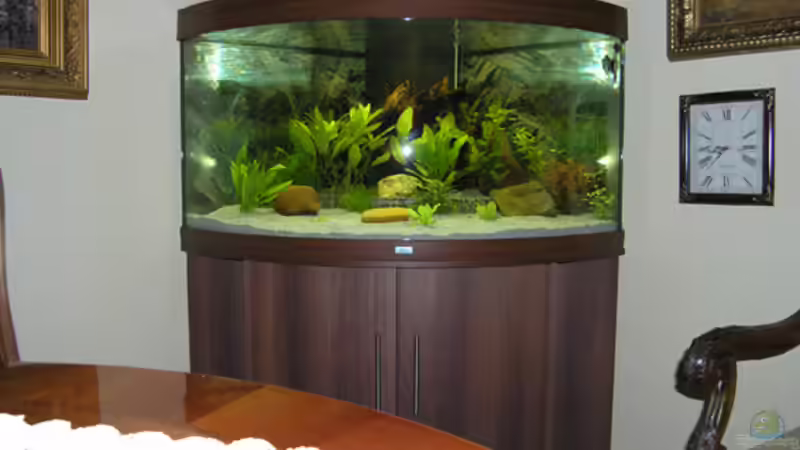 ... und auch mal im Ganzen. von Fossybear (2)