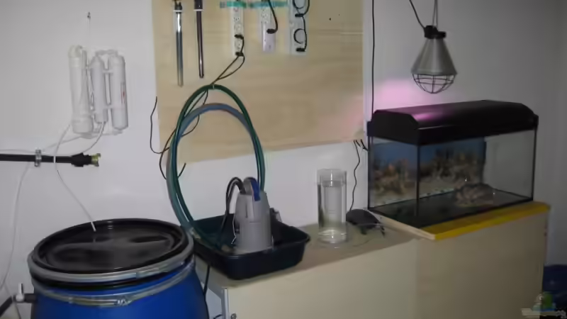 ... und noch von dieser Seite ... von Beat Affolter (21)