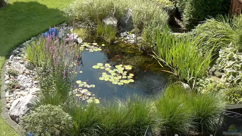 ... von oben  von Sambia (8)