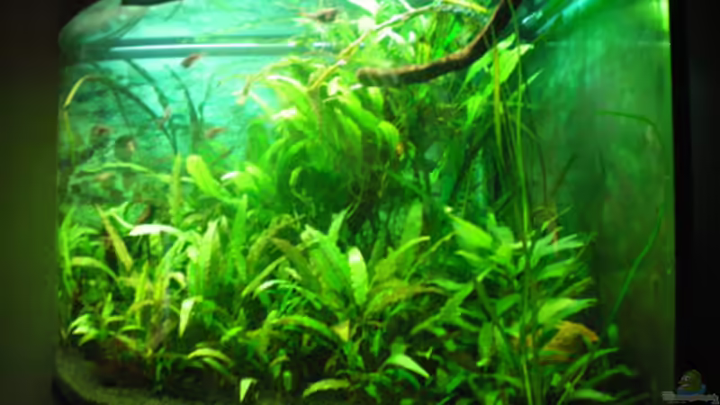 ... von rechts... von Thomas Ahrens (6)