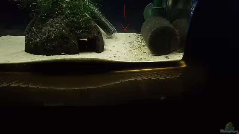 ... von Torsten Bullmahn (28)