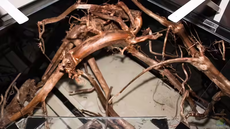 .. 102 cm in der Tiefe .. da passt was rein .. von AjakAndi (7)