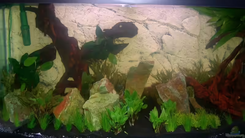 ...180 Liter Wasser rein... von Olaf D. (13)