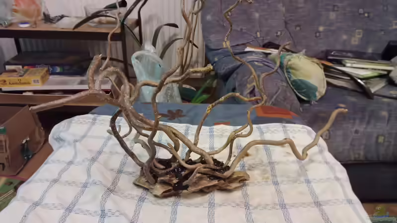 ...am Anfang sieht immer alles irgendwie seltsam aus von Torsten Bullmahn (8)