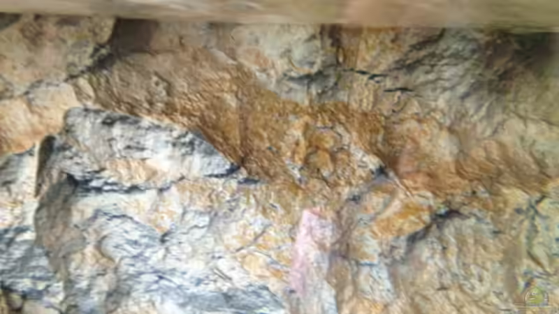 ...am Tag.. von der Steirer (93)