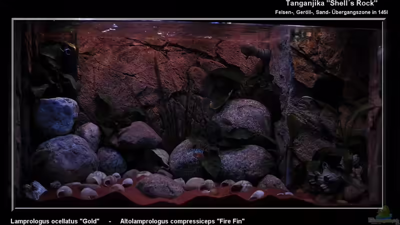 ...auf einen Blick... von ***ELLIS*** (2)