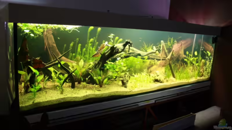 ...aus den Anfängen im April 2011 von Erni77 (2)