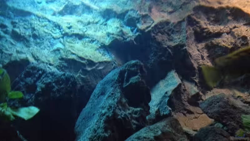 ...aus der... von der Steirer (89)