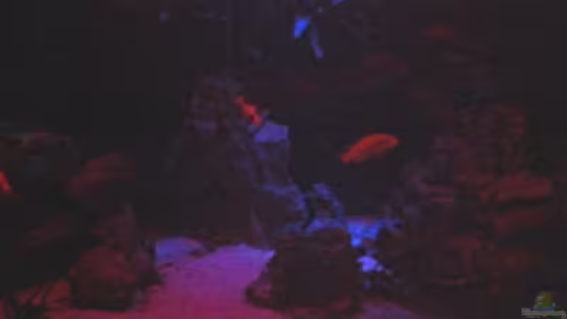 ...bis nur noch das Mondlicht scheint von Schdäff (19)