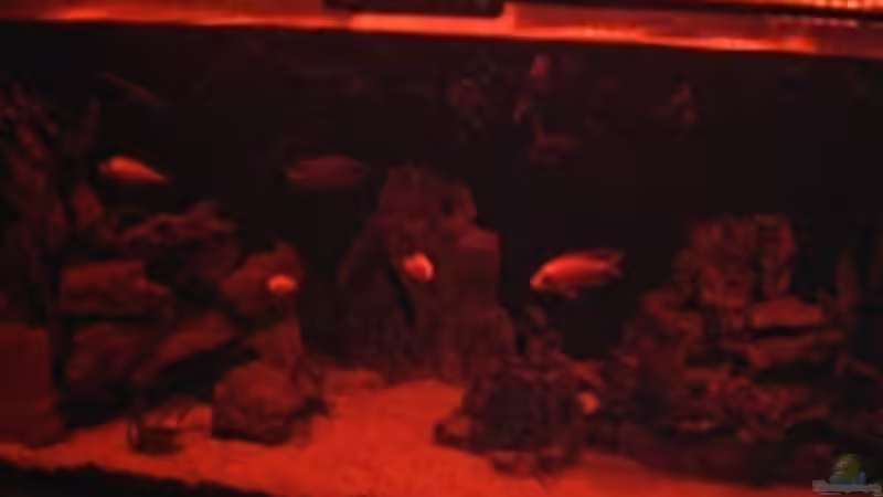 ...das Abendrot setzt ein... von Schdäff (17)