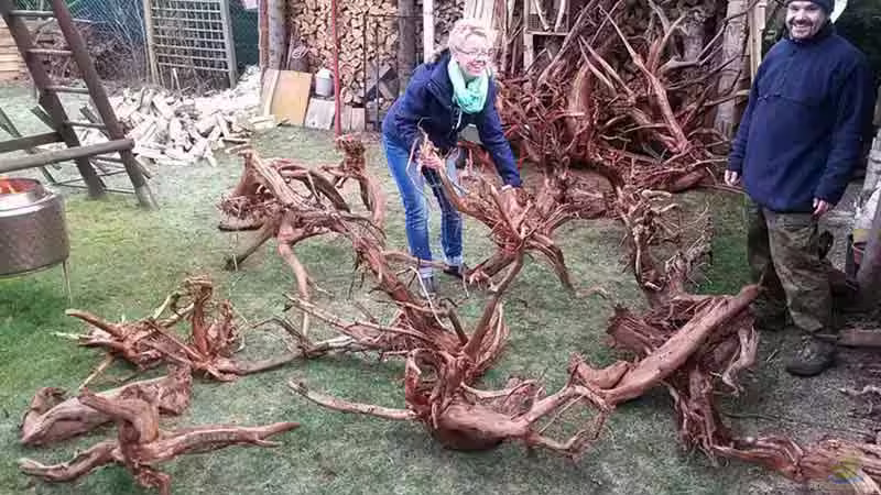 .. das kann schon dauern und Nerven kosten :-) von AjakAndi (6)