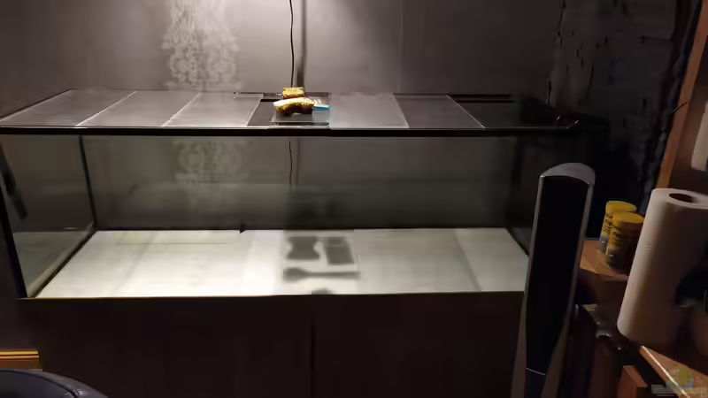 ...das war die Ausgangssituation von vauen (3)